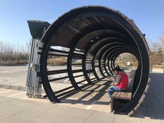 -永定河休闲森林公园