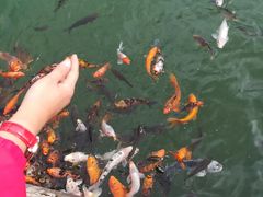 -云南民族大观园