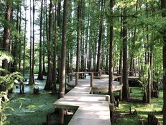 -东湖落雁景区