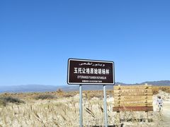 -木垒胡杨林
