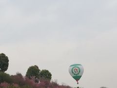 -秀丽东方