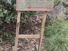 -杭州西湖风景名胜区-三生石