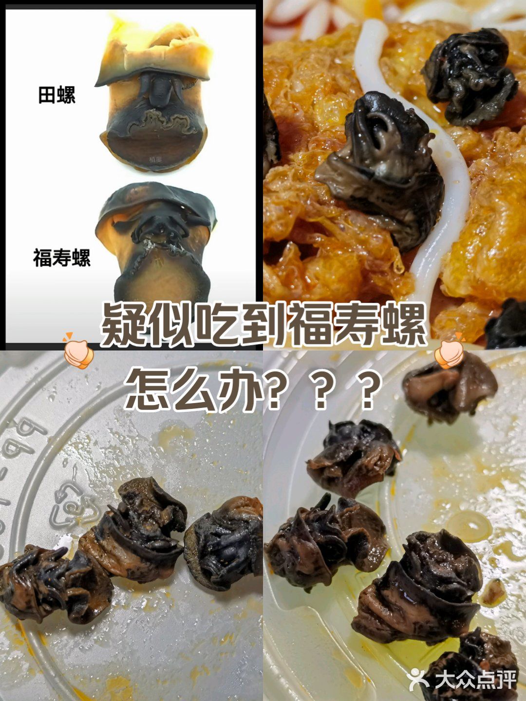 福寿螺肉图片图片