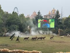 -郑州银基黄帝宫御温泉