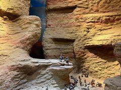 -巴音郭楞蒙古自治州博物馆