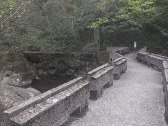 -白云源风景区