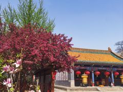 -护国法轮寺