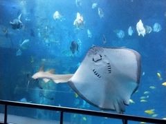 -太平洋海底世界