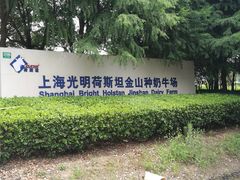 -光明牧业有限公司金山种奶牛场