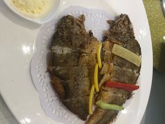 -骏莱海鲜鱼港(五角场店)