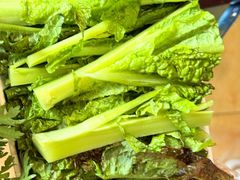 -爱膳菌锅锅(阳南店)