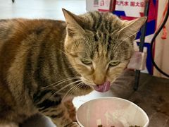 -广记海鲜(杨汊湖一店)