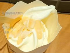 姜撞脆椰椰麦旋风-麦当劳(虎坊路店)