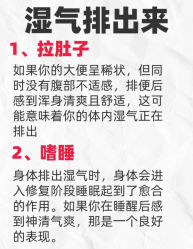 -Fundi张玉珊修身堂·indiba·BTL科技瘦身