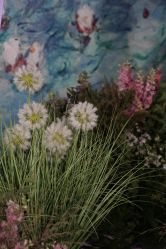 -DNA Wedding 婚礼记(上海店)