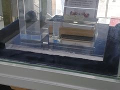 -美可普口腔医院(东街分店)