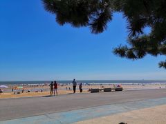 -日照海滨国家森林公园