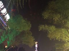-枫花园汽车电影院(朝阳公园店)