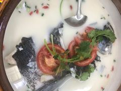 -全乐鱼馆·淳牌有机鱼直营店