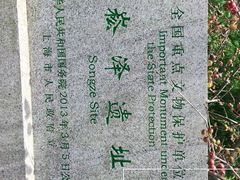 -上海崧泽遗址博物馆