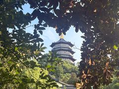-浙江西子宾馆·牡丹厅