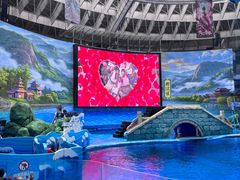 -海合安成都极地海洋公园