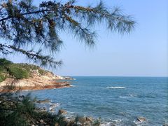 -广东惠东海龟国家级自然保护区