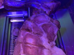 -外滩海鲜烧烤广场(东三旗店)