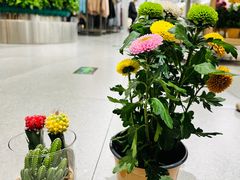 -鹿岛生活(熙地港店)