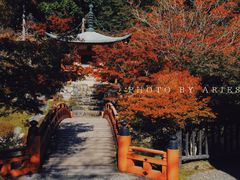-醍醐寺