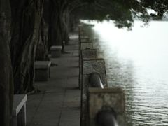 -大湾区中央湿地公园