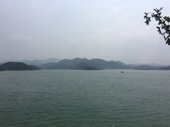 -望湖烤鱼