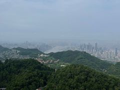 -大金鹰园