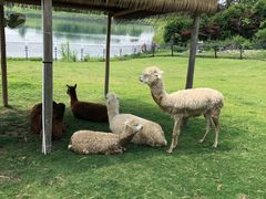 -南京银杏湖乐园