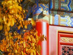 -潭柘寺景区