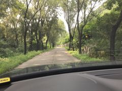 -云岫谷自然风景区