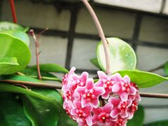 -鑫佳泰潮汕餐厅(莲塘店)