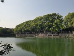 -白马涧龙池景区