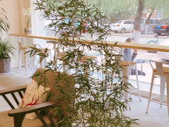 -保定直隶总督署博物馆