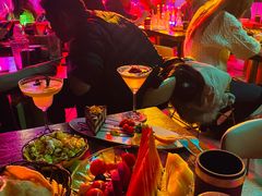 -MOSSO音乐酒吧·Live House(南京西路店)