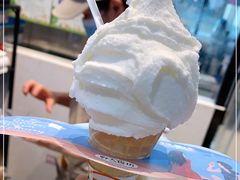 -野人先生现做冰淇淋(西安赛格店)
