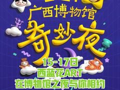 -广西壮族自治区博物馆