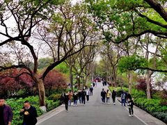 -苏堤停车场
