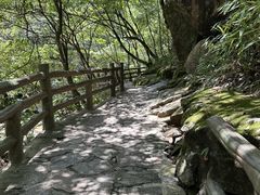 -大鄣山卧龙谷景区
