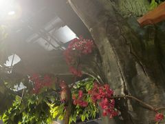 -草原塞蛮羊火锅城(港湾店)