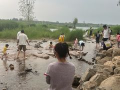 -绿堤公园