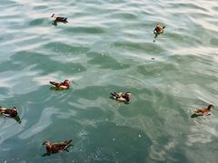 -北山街历史文化街区