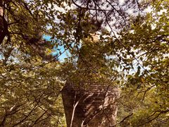 -阳台山自然风景区