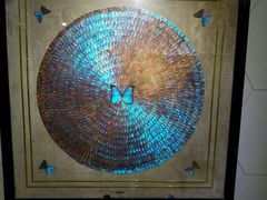 -上海昆虫博物馆