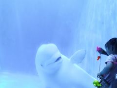 -多彩贵州城极地海洋世界